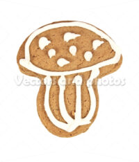 Gingerbread Gingerbread
